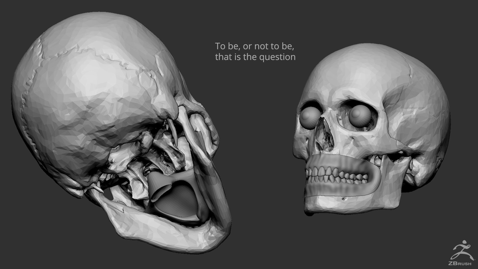 Human Skull 3D model_12