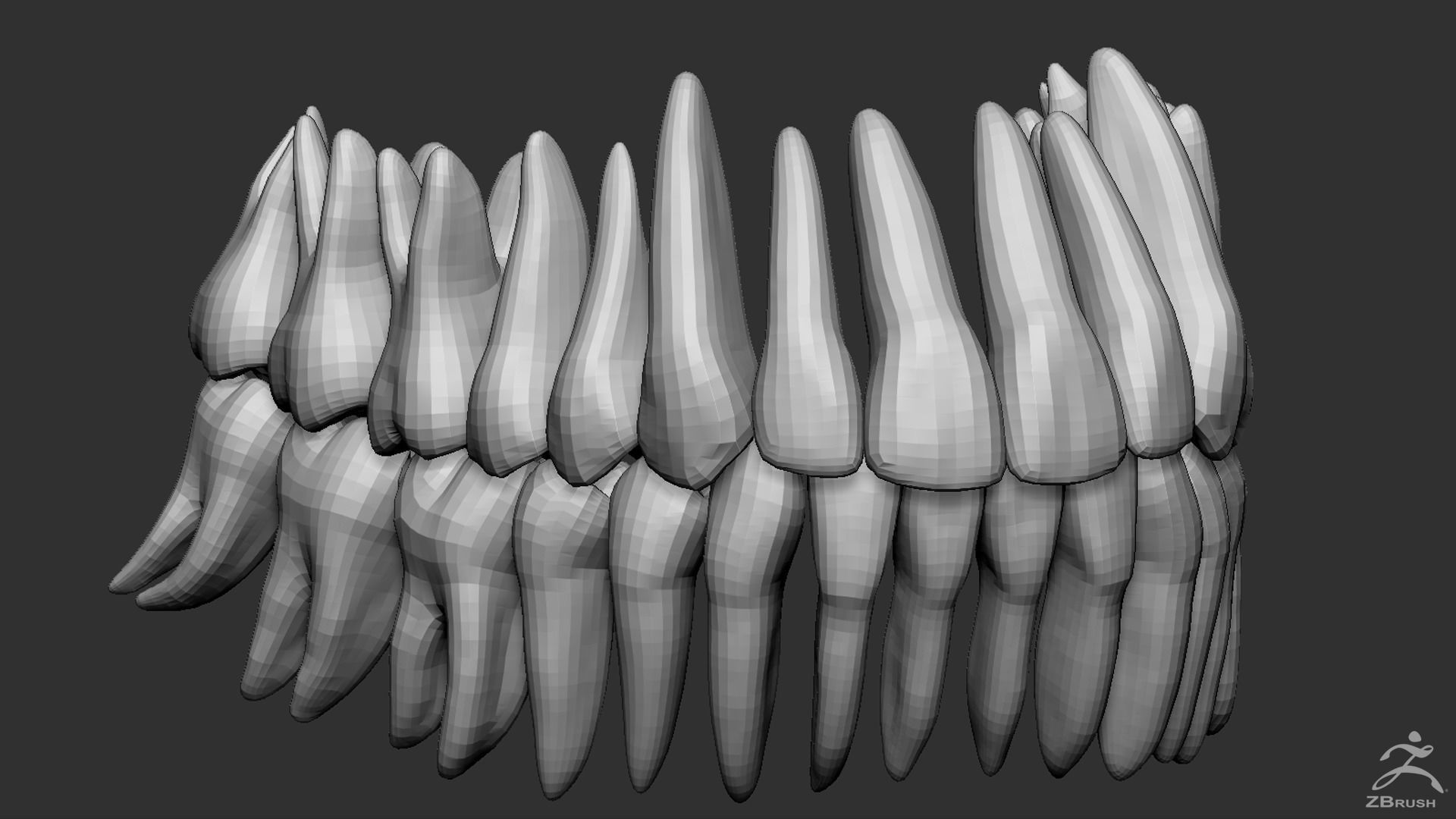 Human Skull 3D model_13