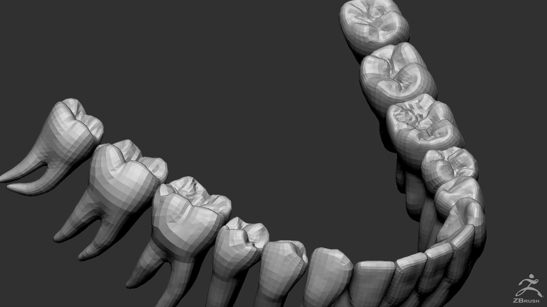 Human Skull 3D model_14