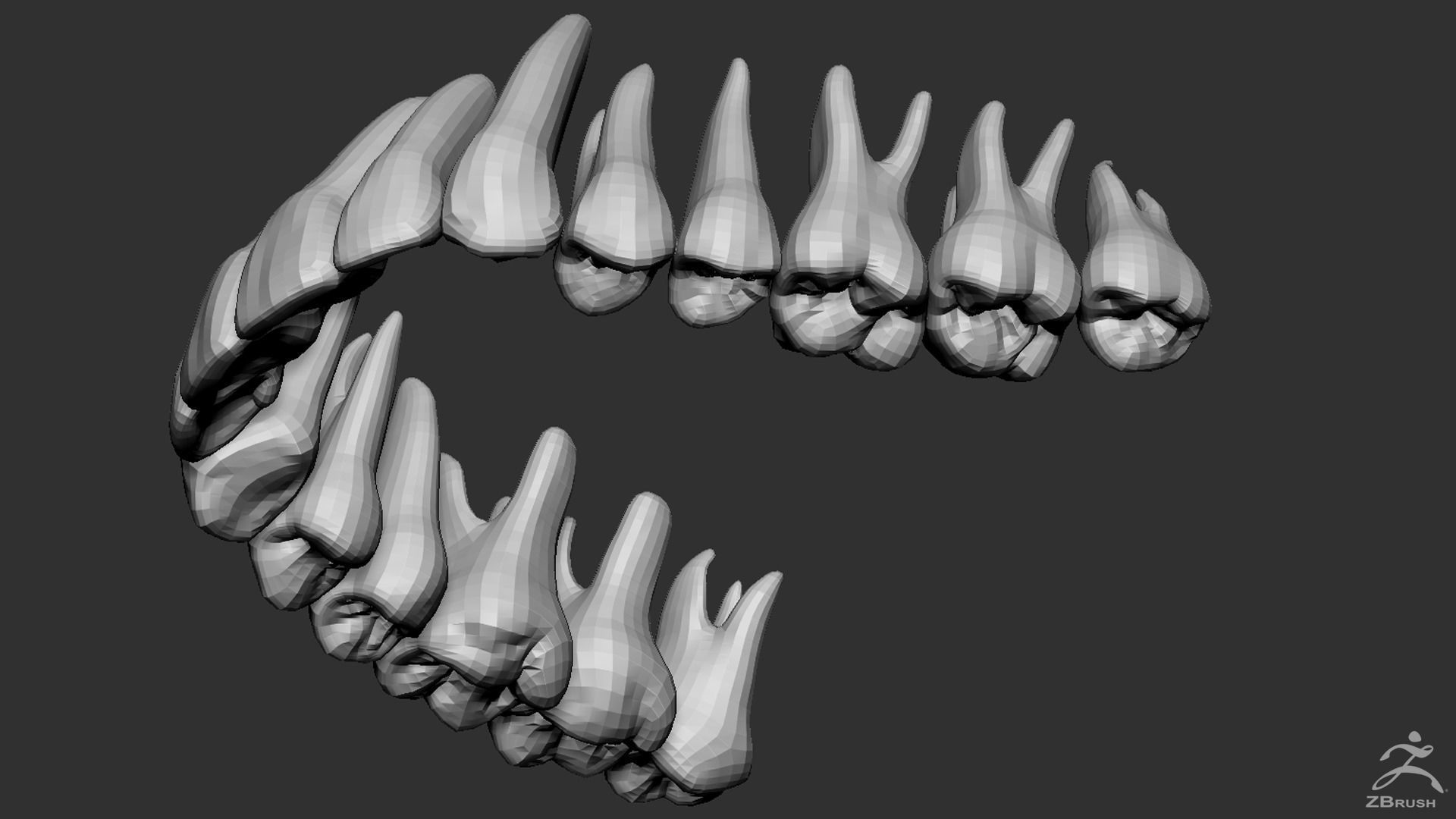 Human Skull 3D model_16