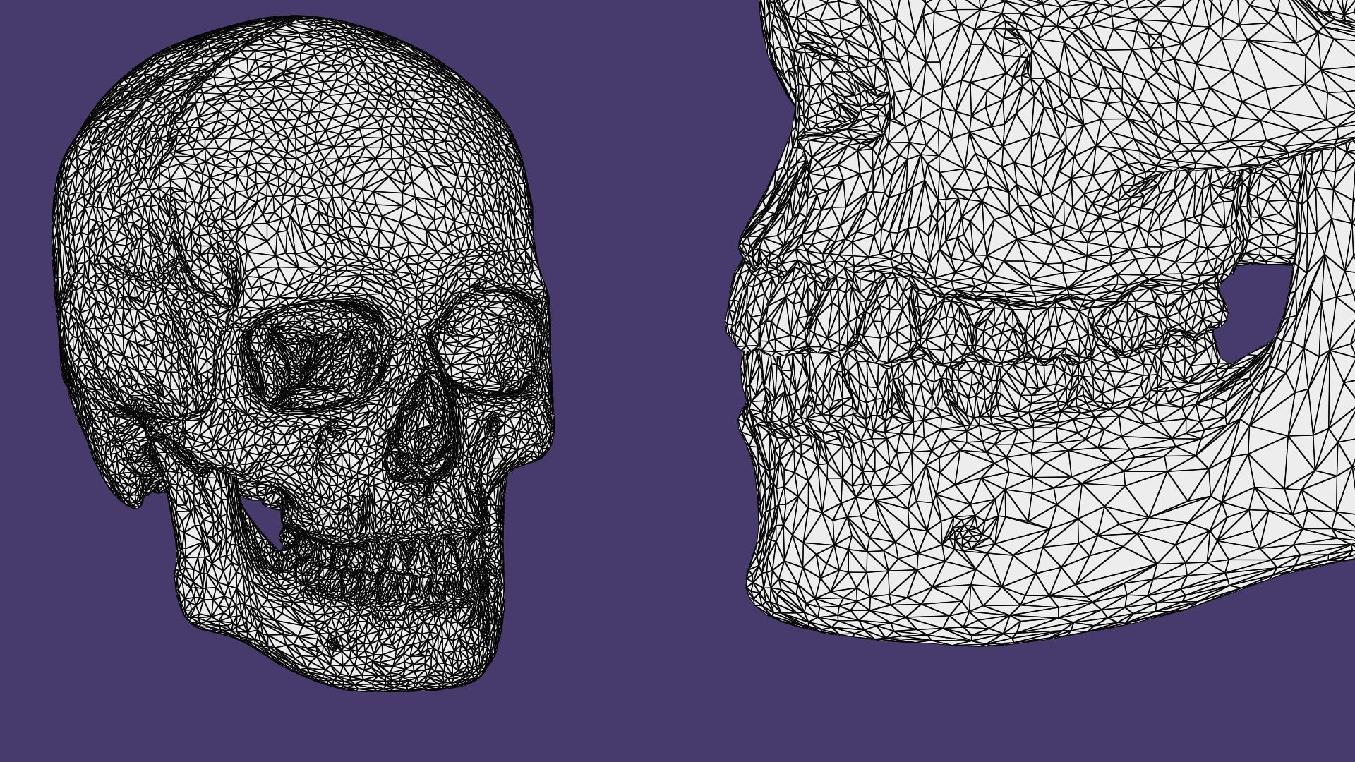 Human Skull 3D model_11