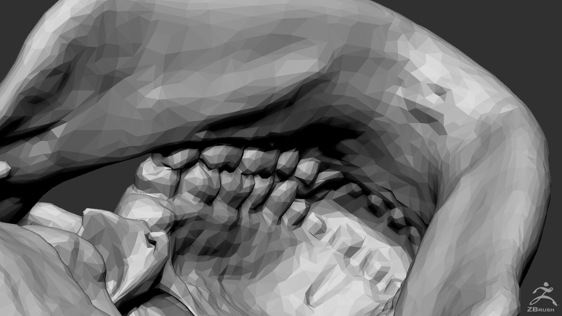 Human Skull 3D model_8