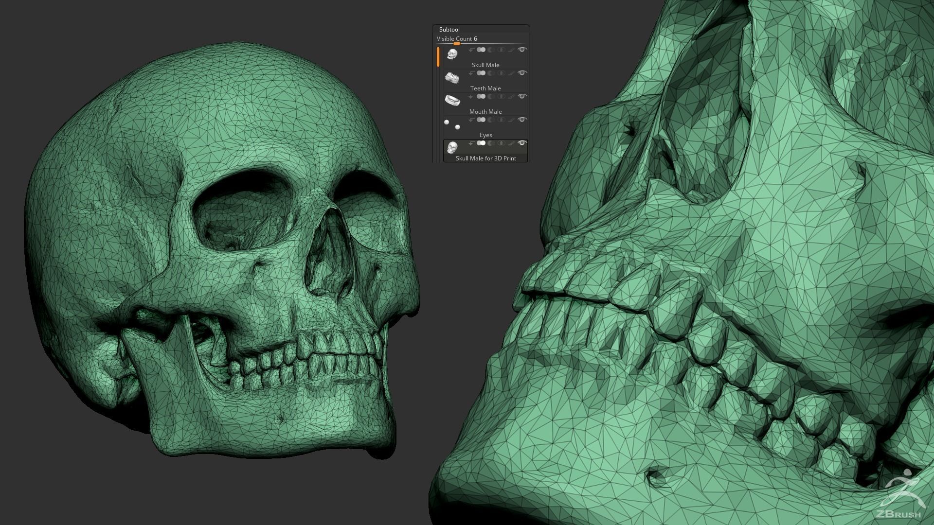Human Skull 3D model_2