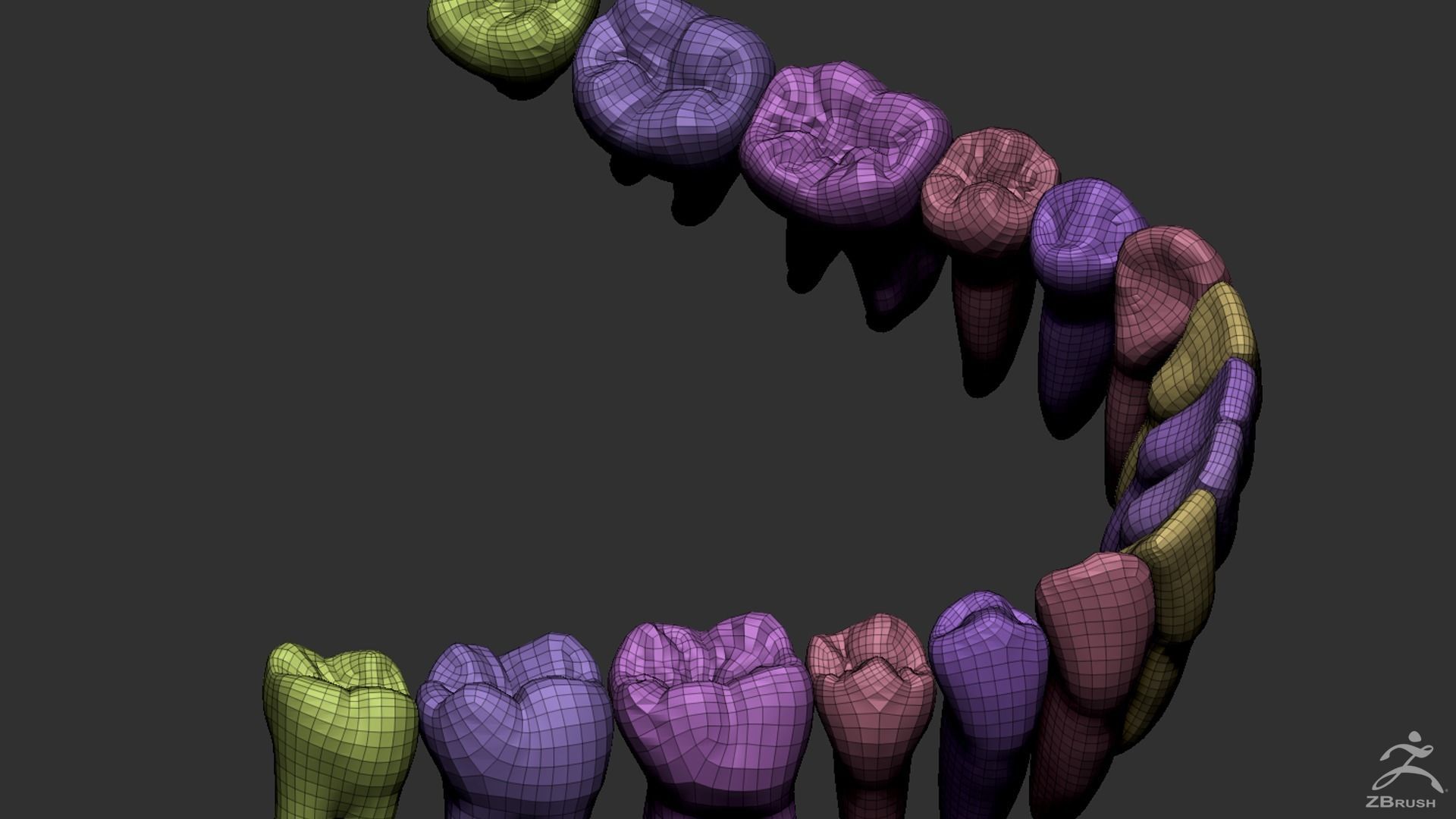 Human Skull 3D model_15