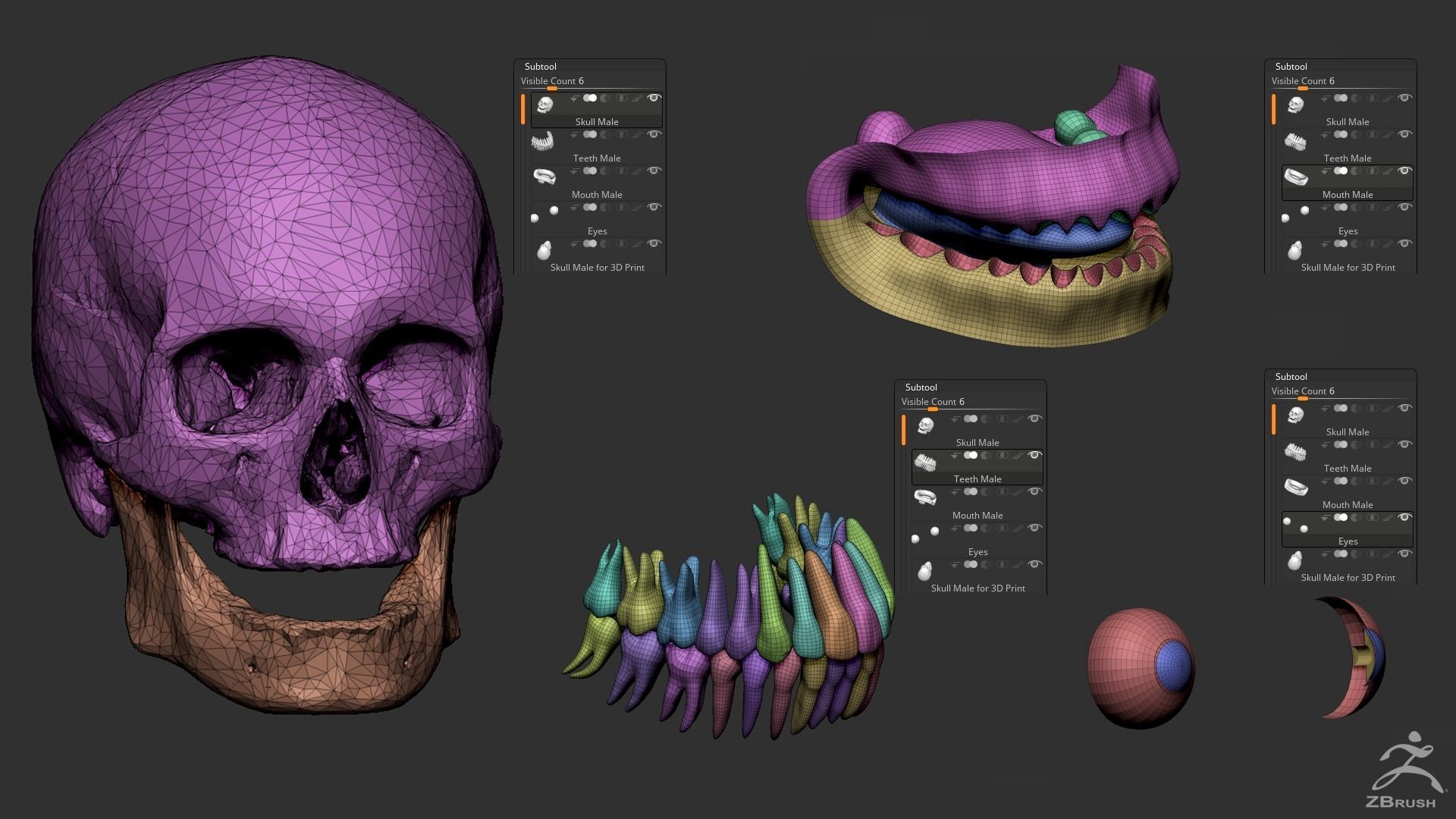 Human Skull 3D model_1