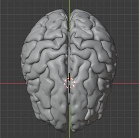 Human Brain Model 3D 3D model_3