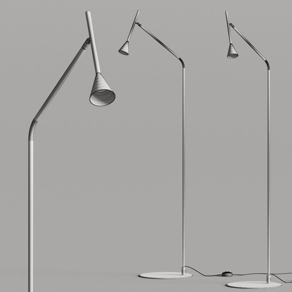Aromas Del Campo Lyb Floor Lamp 3D model_1