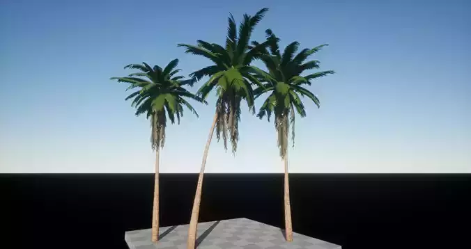 Coconut Palms for Games Low-poly 3D model