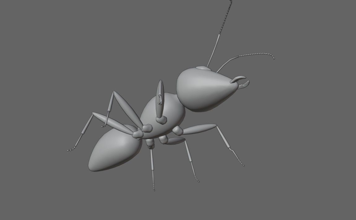 Ant - Formiga Low-poly 3D model_17
