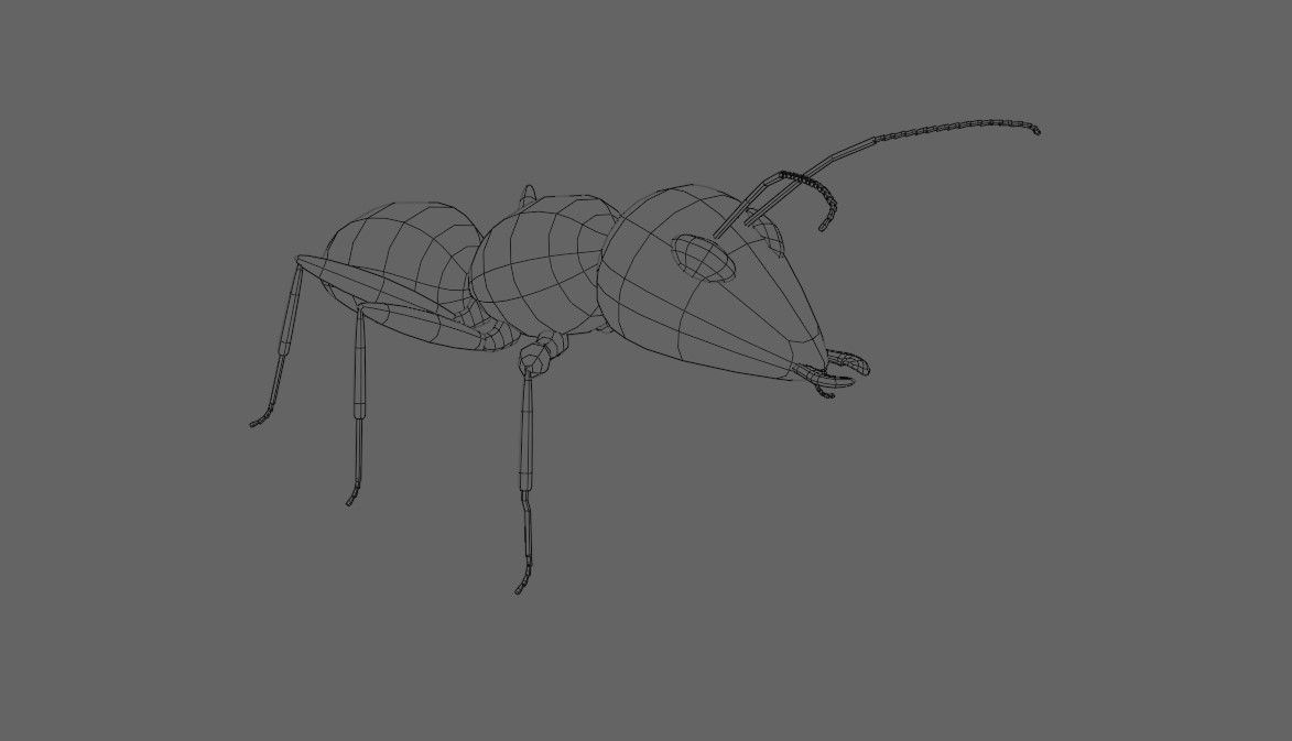 Ant - Formiga Low-poly 3D model_18
