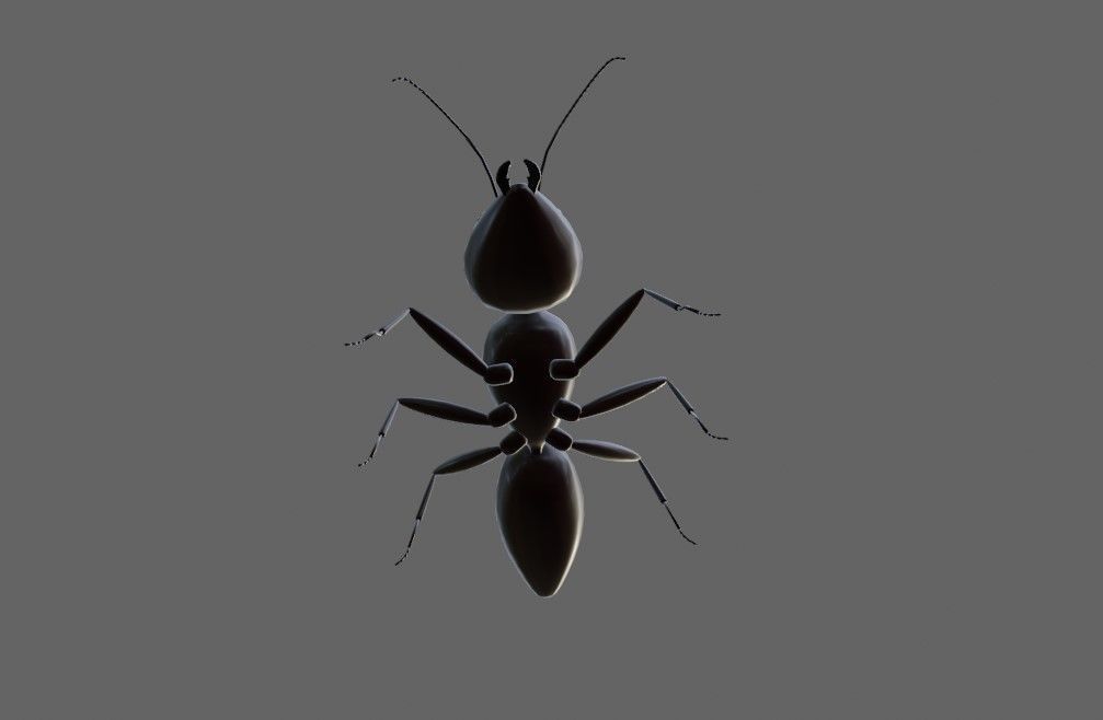 Ant - Formiga Low-poly 3D model_5
