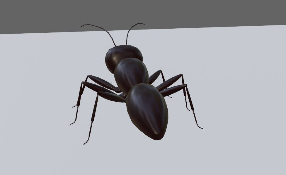 Ant - Formiga Low-poly 3D model_14