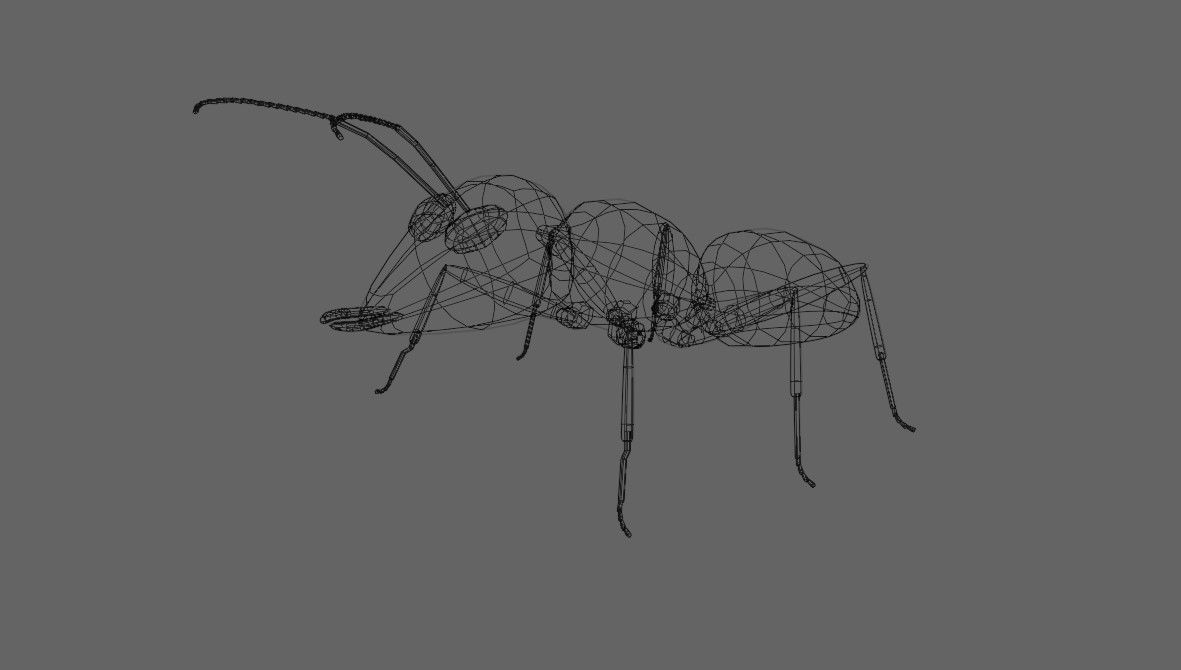 Ant - Formiga Low-poly 3D model_20