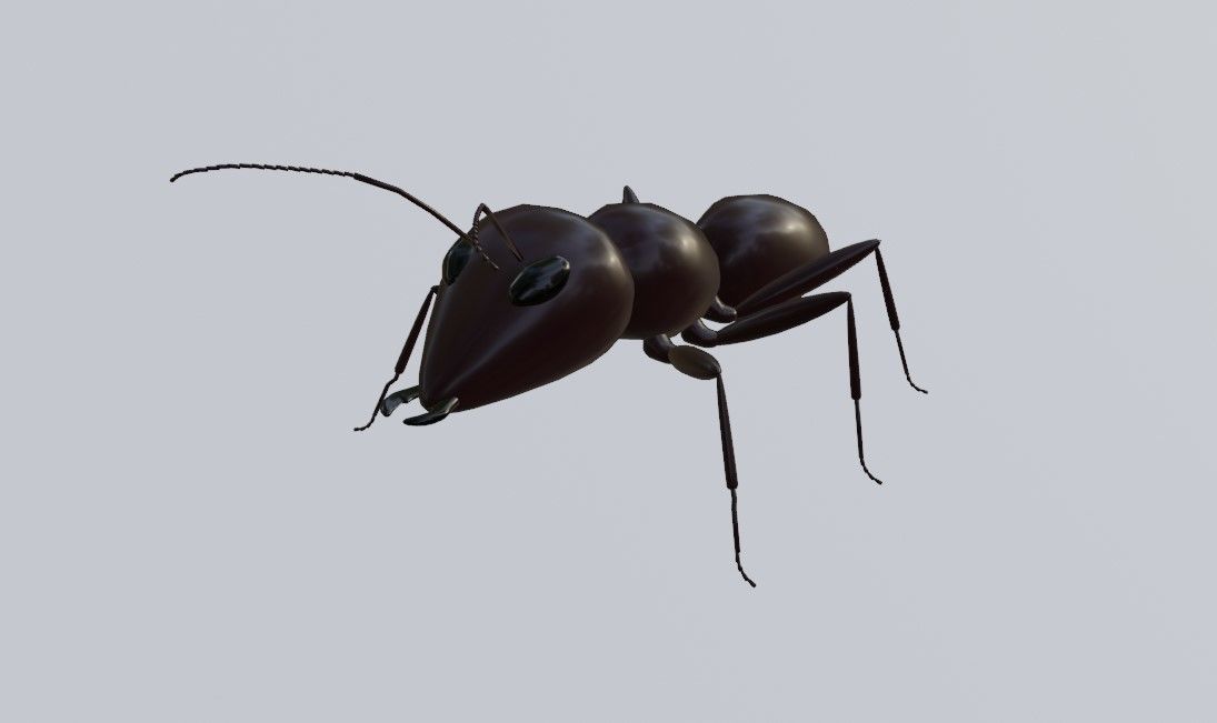 Ant - Formiga Low-poly 3D model_1
