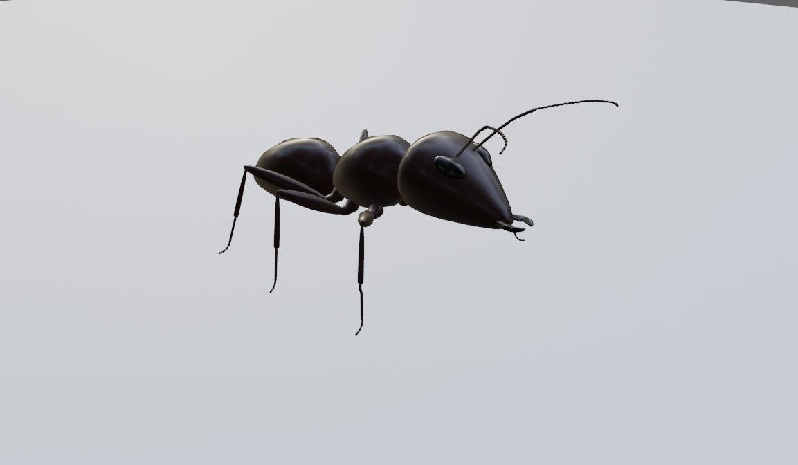Ant - Formiga Low-poly 3D model_2