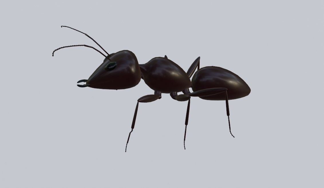 Ant - Formiga Low-poly 3D model_11