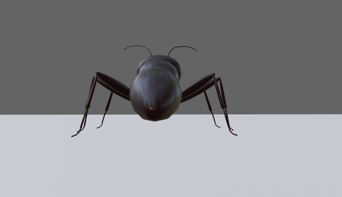 Ant - Formiga Low-poly 3D model_6