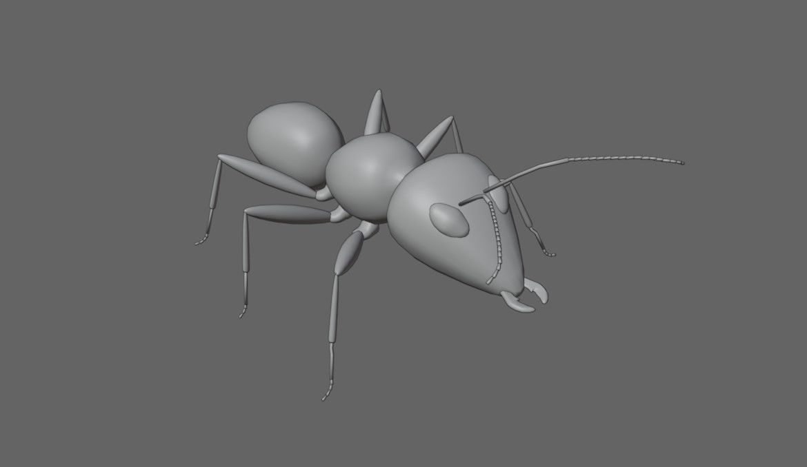 Ant - Formiga Low-poly 3D model_16