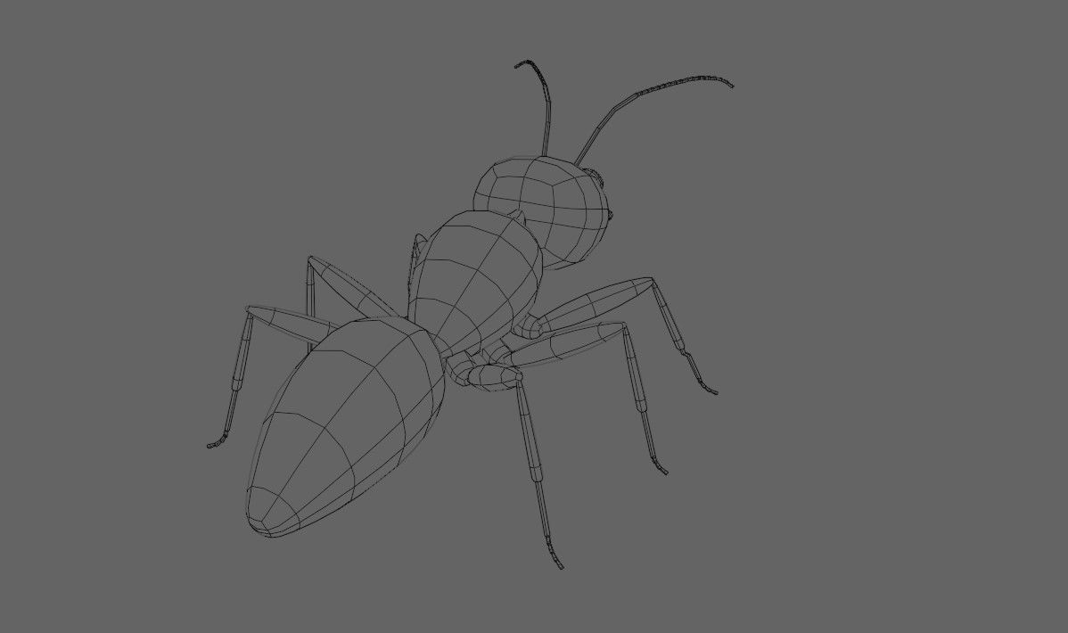 Ant - Formiga Low-poly 3D model_19