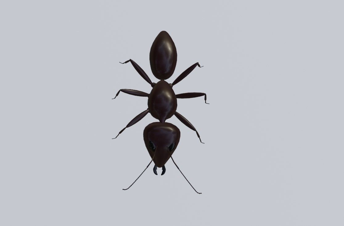 Ant - Formiga Low-poly 3D model_4
