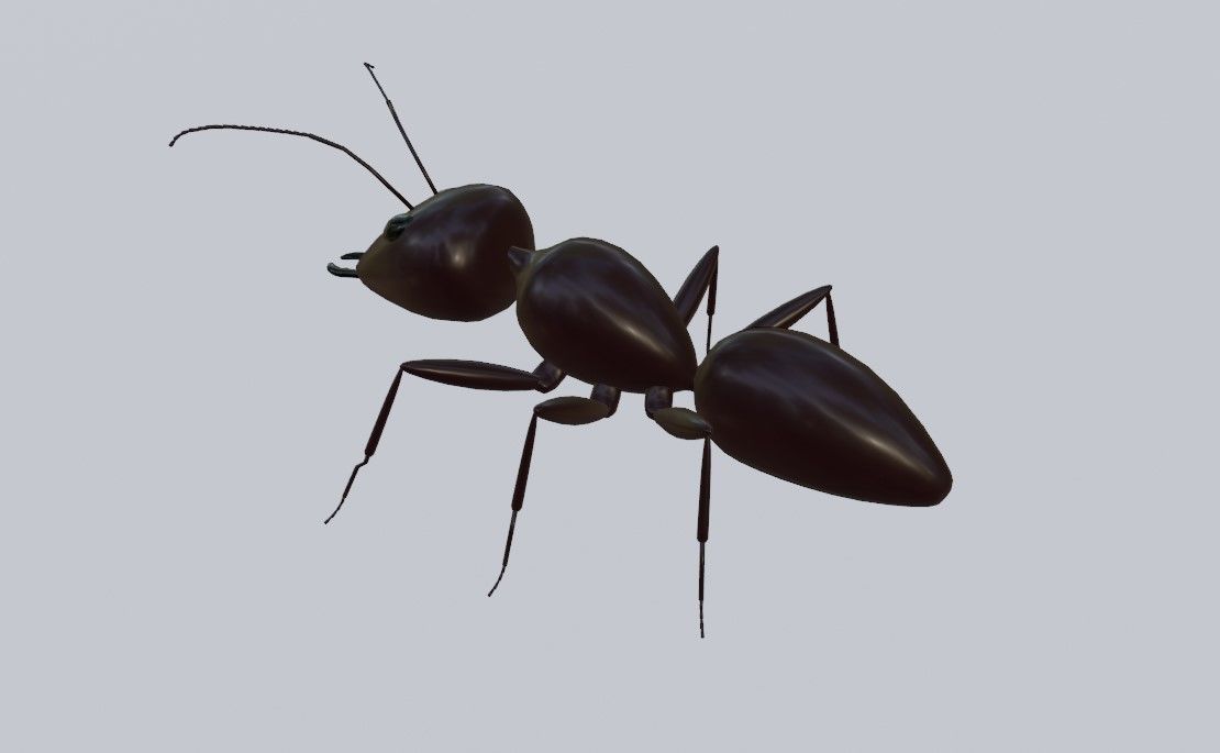 Ant - Formiga Low-poly 3D model_12