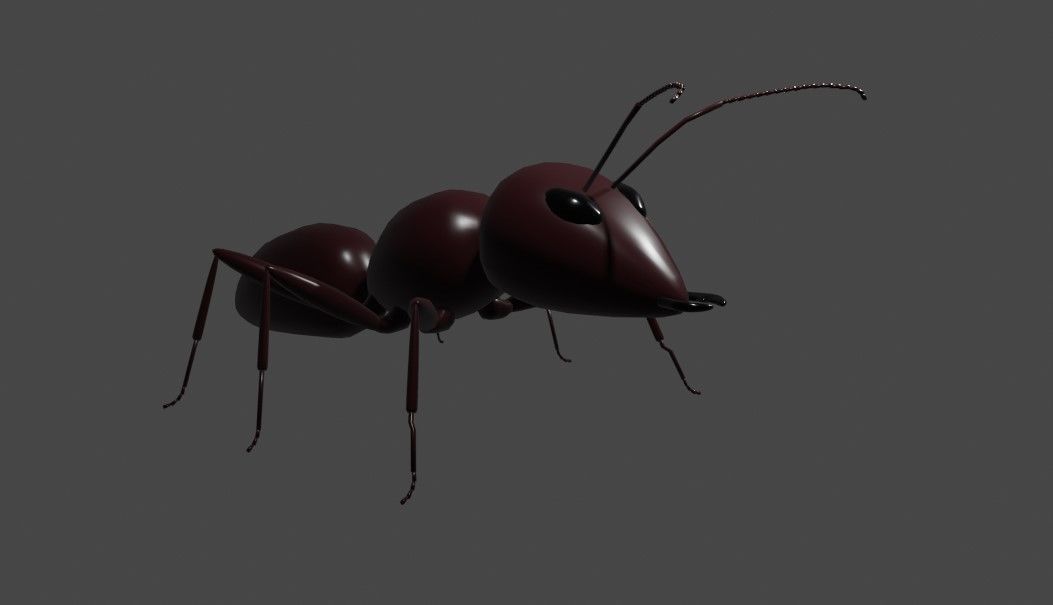 Ant - Formiga Low-poly 3D model_10