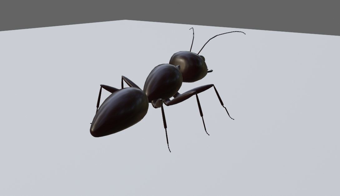 Ant - Formiga Low-poly 3D model_15