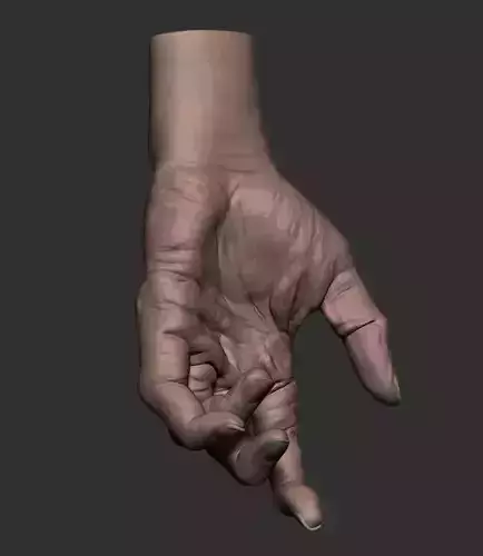 Old Hand - Realistic 3D Hand model