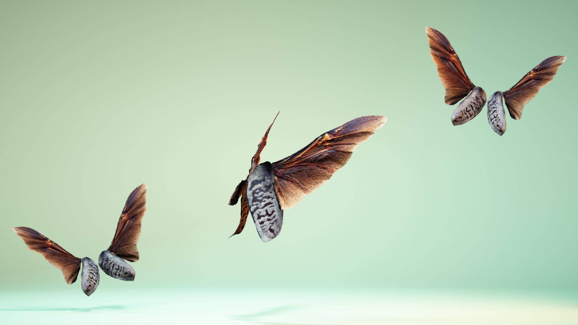 Insect 5 three butterflies flying in air Low-poly 3D model_4