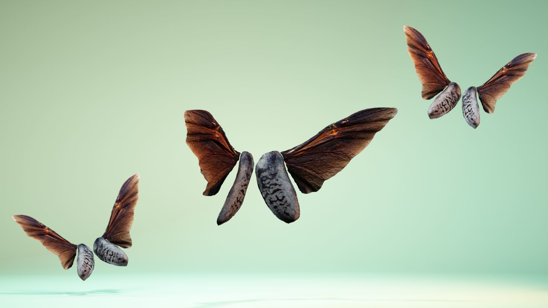 Insect 5 three butterflies flying in air Low-poly 3D model_1