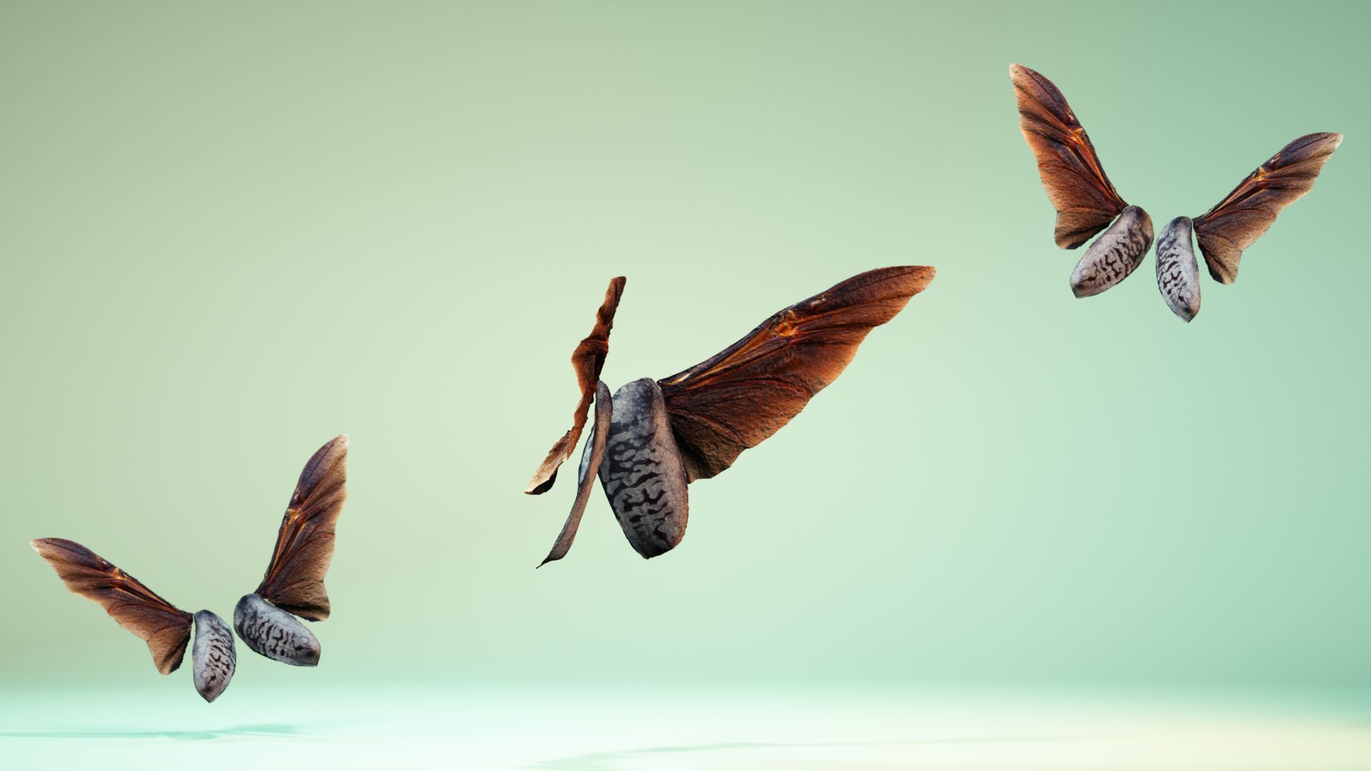 Insect 5 three butterflies flying in air Low-poly 3D model_2