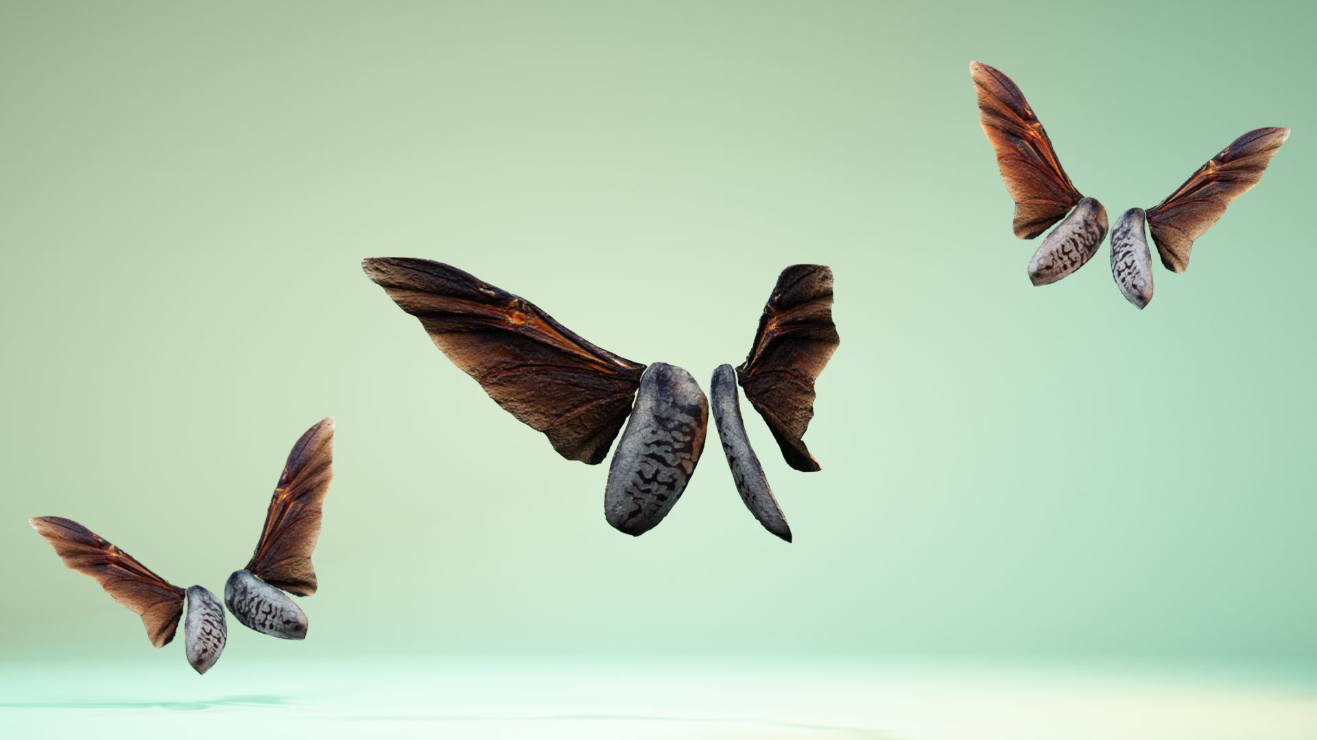 Insect 5 three butterflies flying in air Low-poly 3D model_11