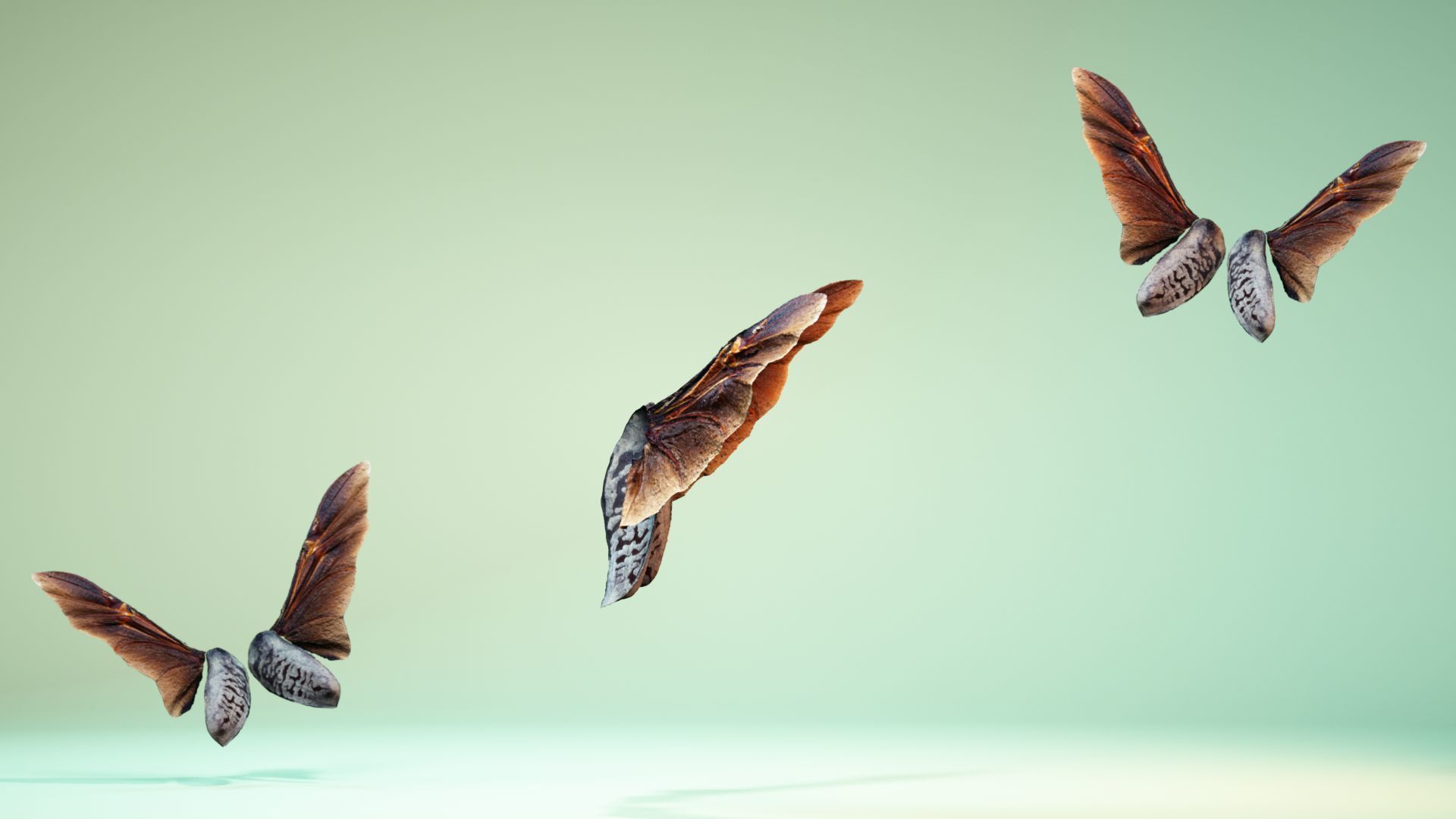 Insect 5 three butterflies flying in air Low-poly 3D model_3