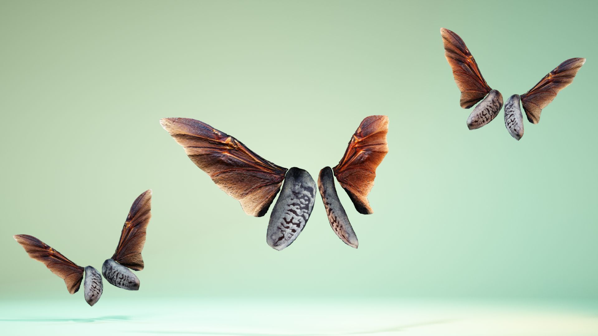 Insect 5 three butterflies flying in air Low-poly 3D model_7