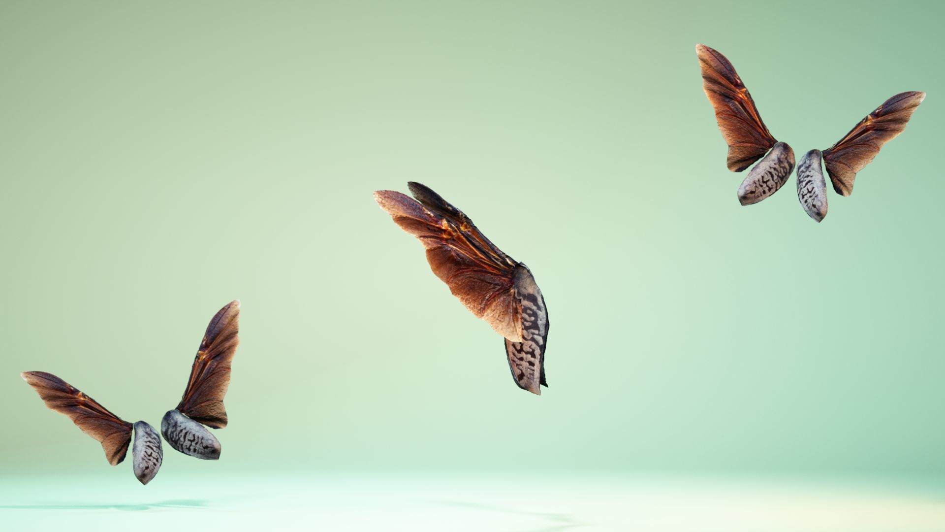 Insect 5 three butterflies flying in air Low-poly 3D model_9