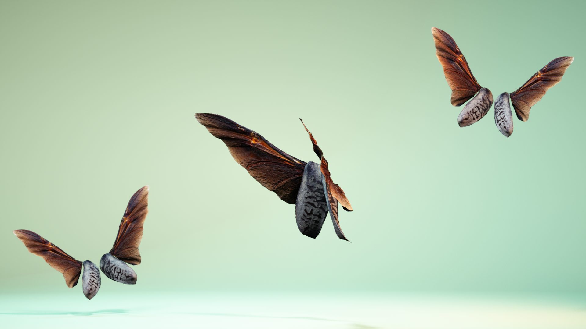 Insect 5 three butterflies flying in air Low-poly 3D model_10
