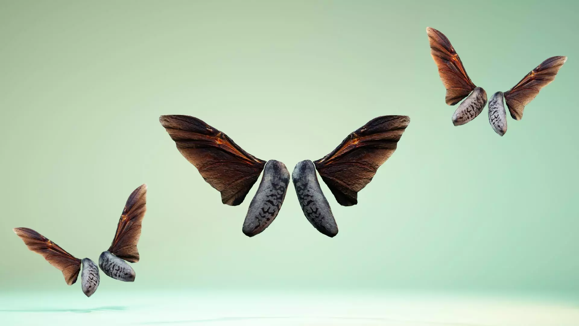 Insect 5 three butterflies flying in air Low-poly 3D model_0