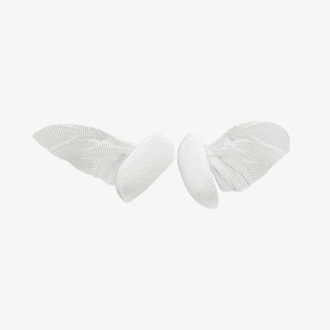 Insect 4 angel wings - earplugs Low-poly 3D model_12