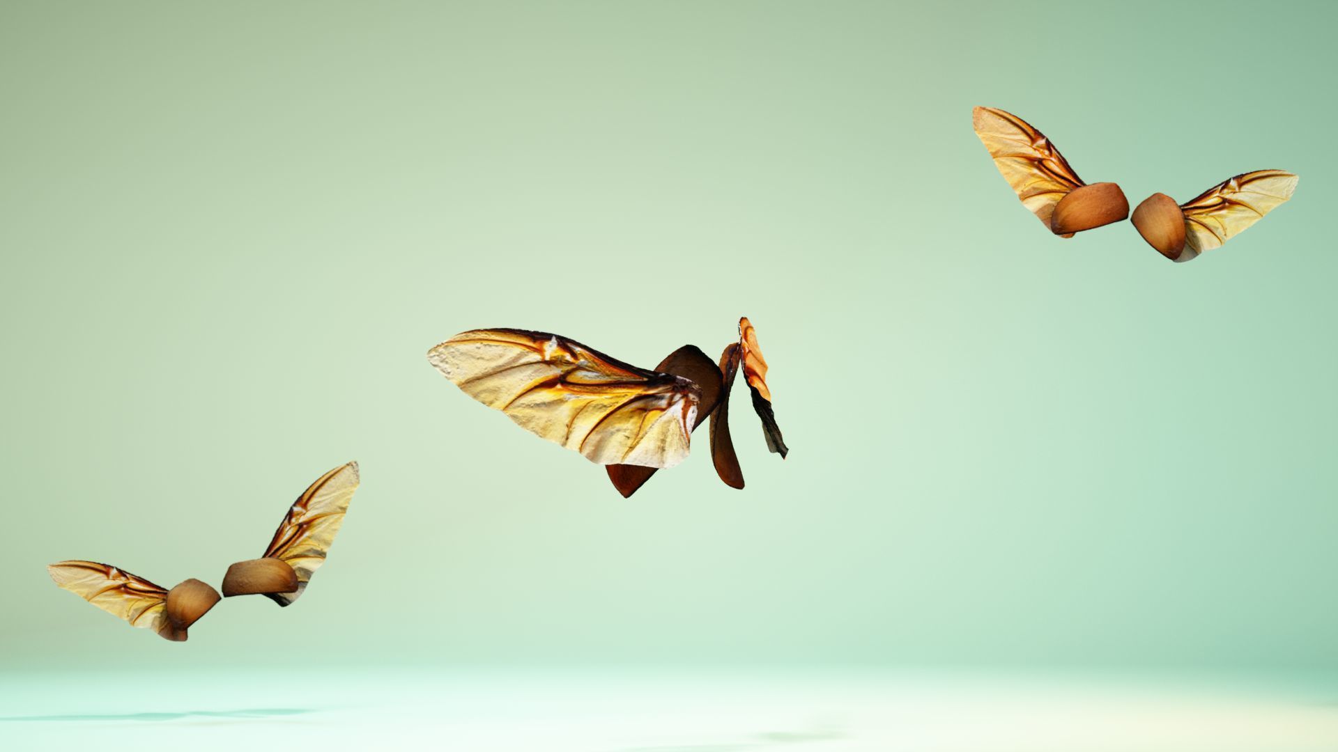 Insect 4 angel wings - earplugs Low-poly 3D model_8