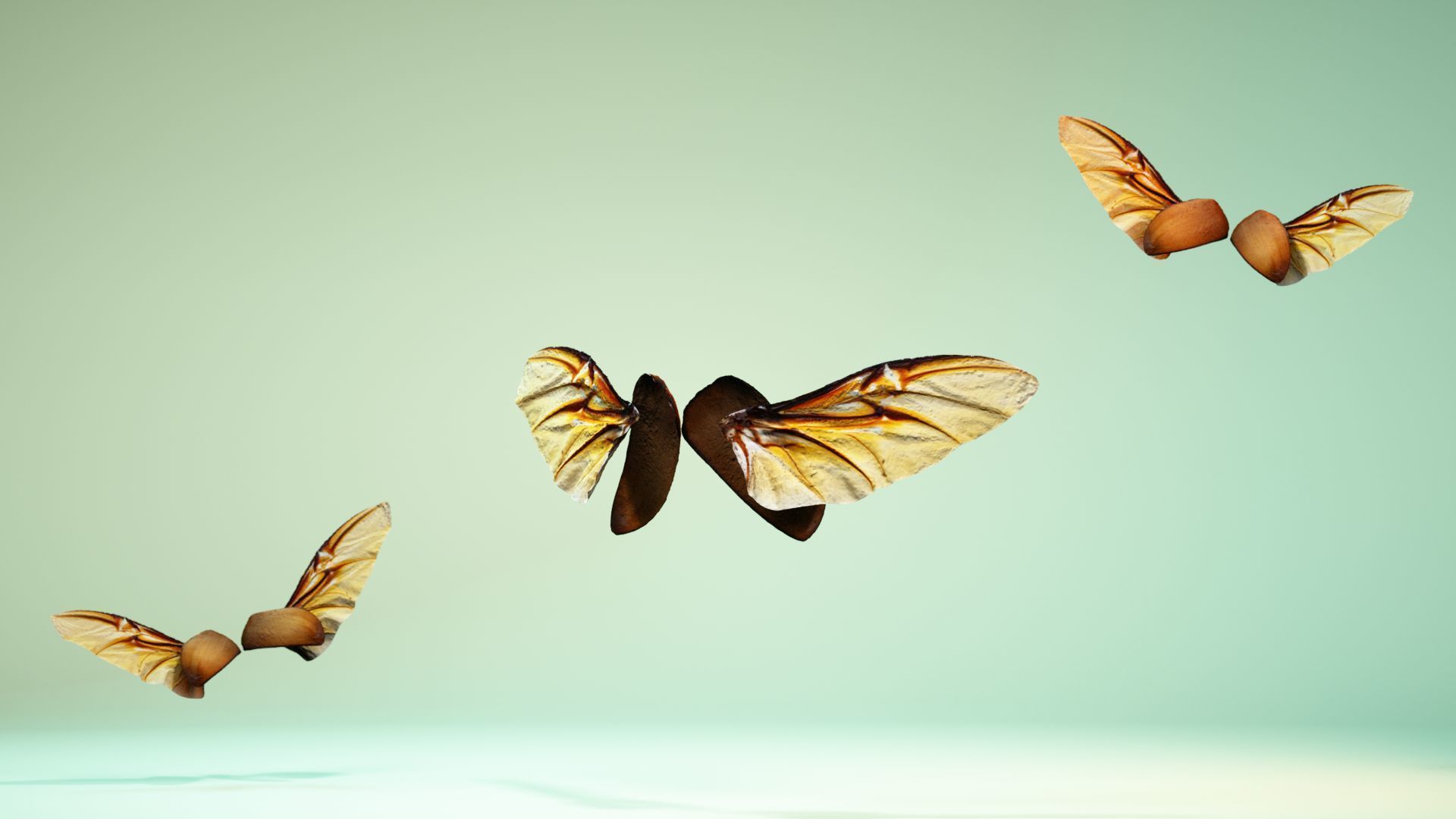 Insect 4 angel wings - earplugs Low-poly 3D model_5