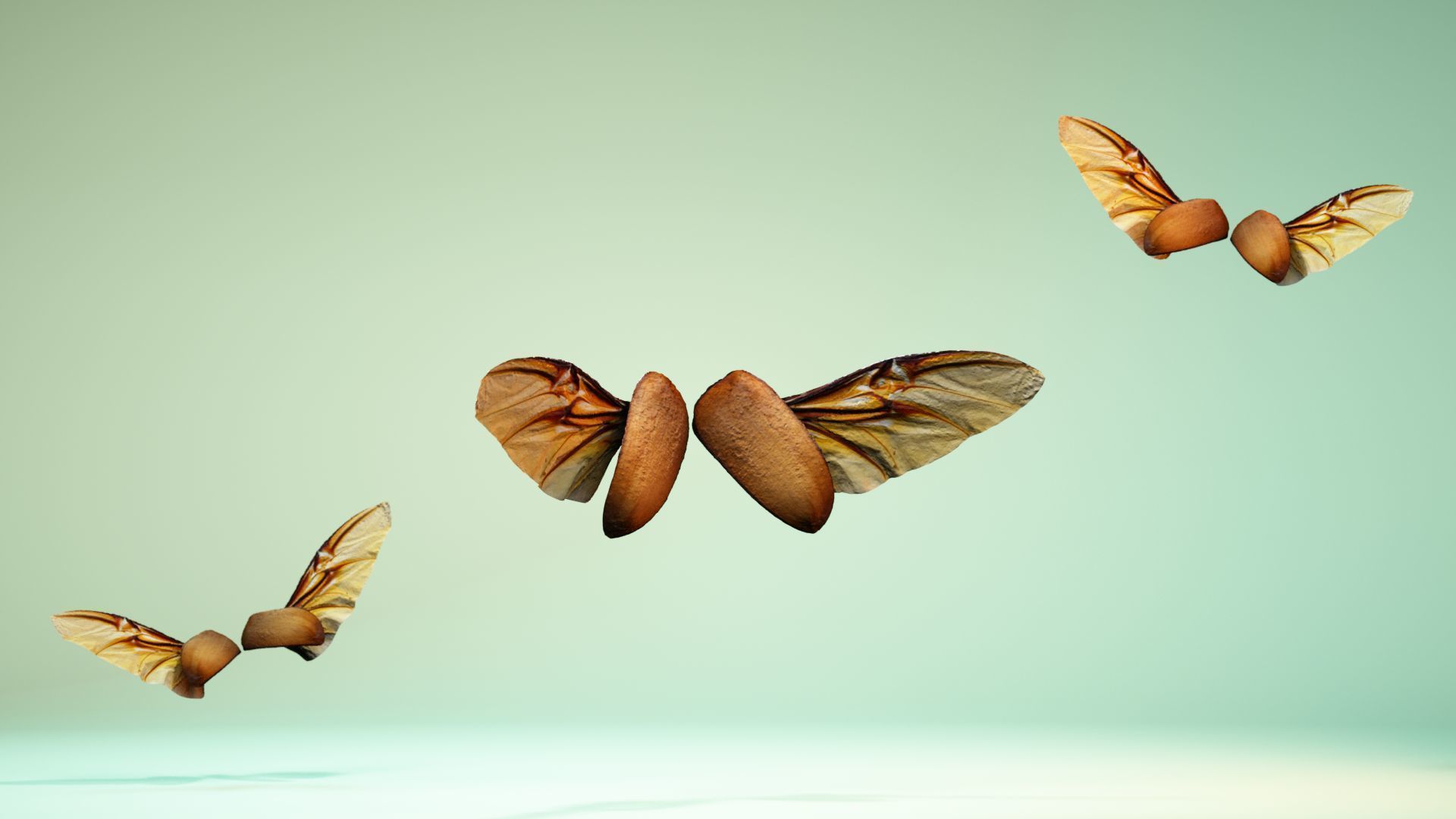 Insect 4 angel wings - earplugs Low-poly 3D model_1