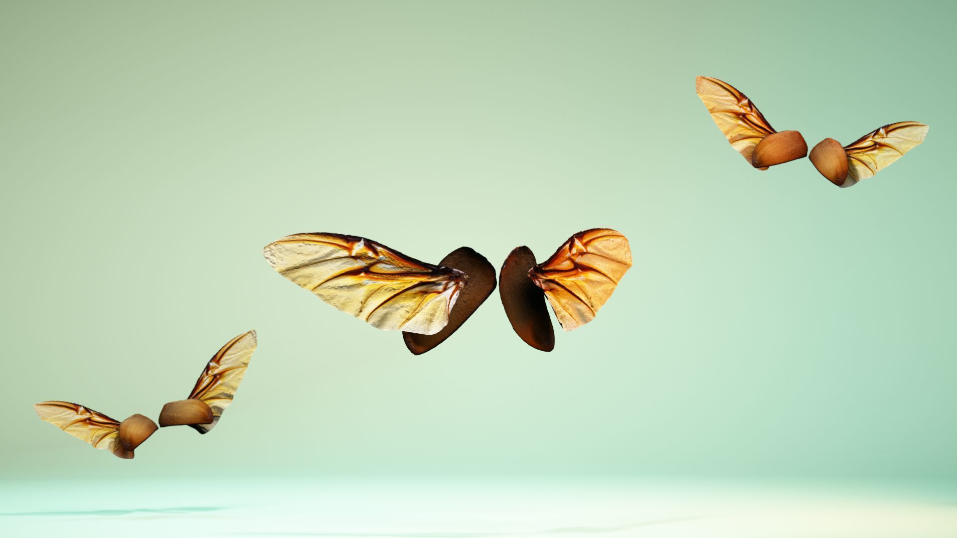 Insect 4 angel wings - earplugs Low-poly 3D model_7