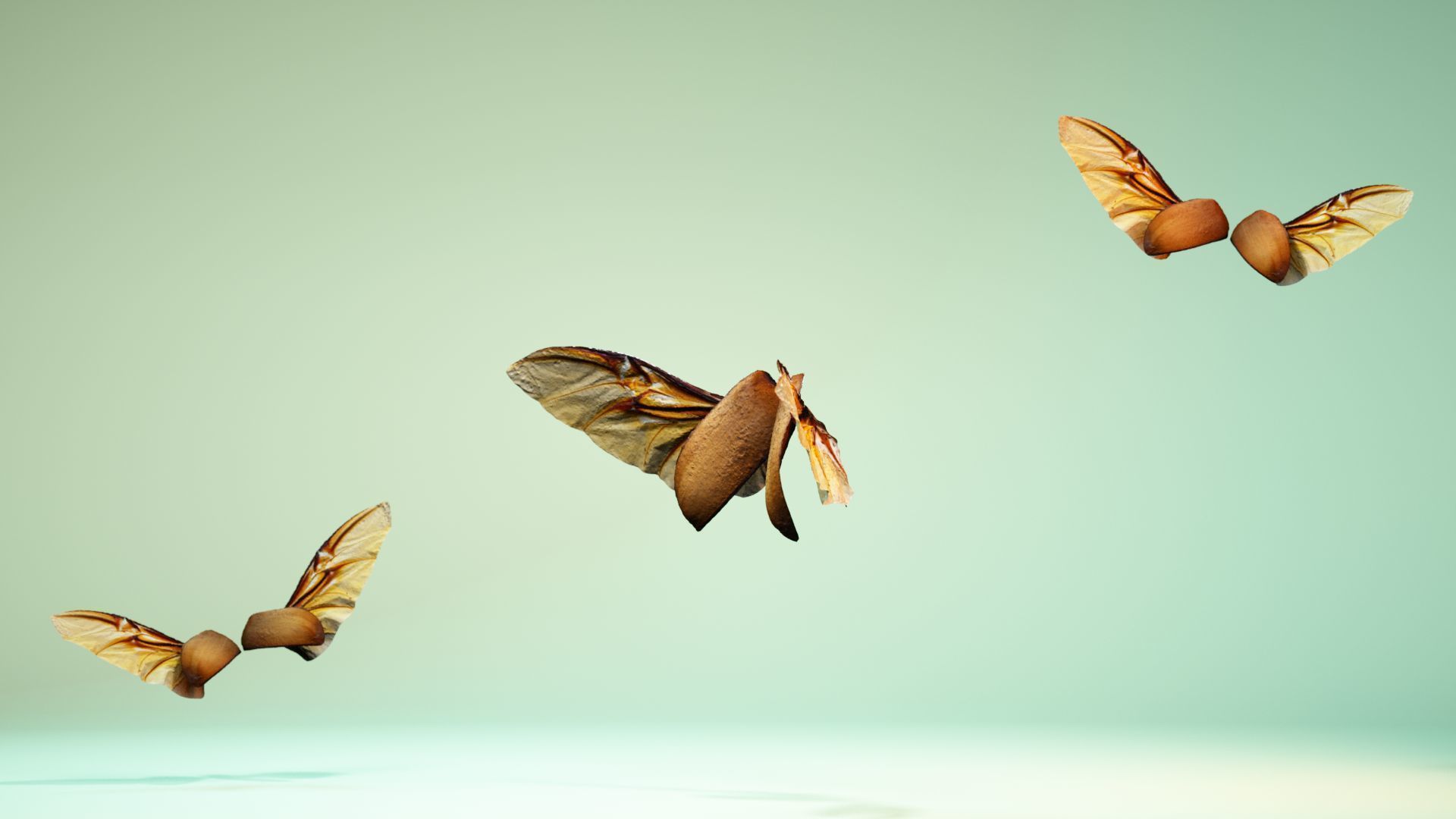 Insect 4 angel wings - earplugs Low-poly 3D model_10