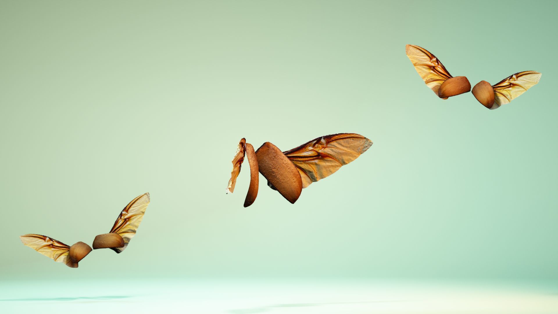 Insect 4 angel wings - earplugs Low-poly 3D model_2