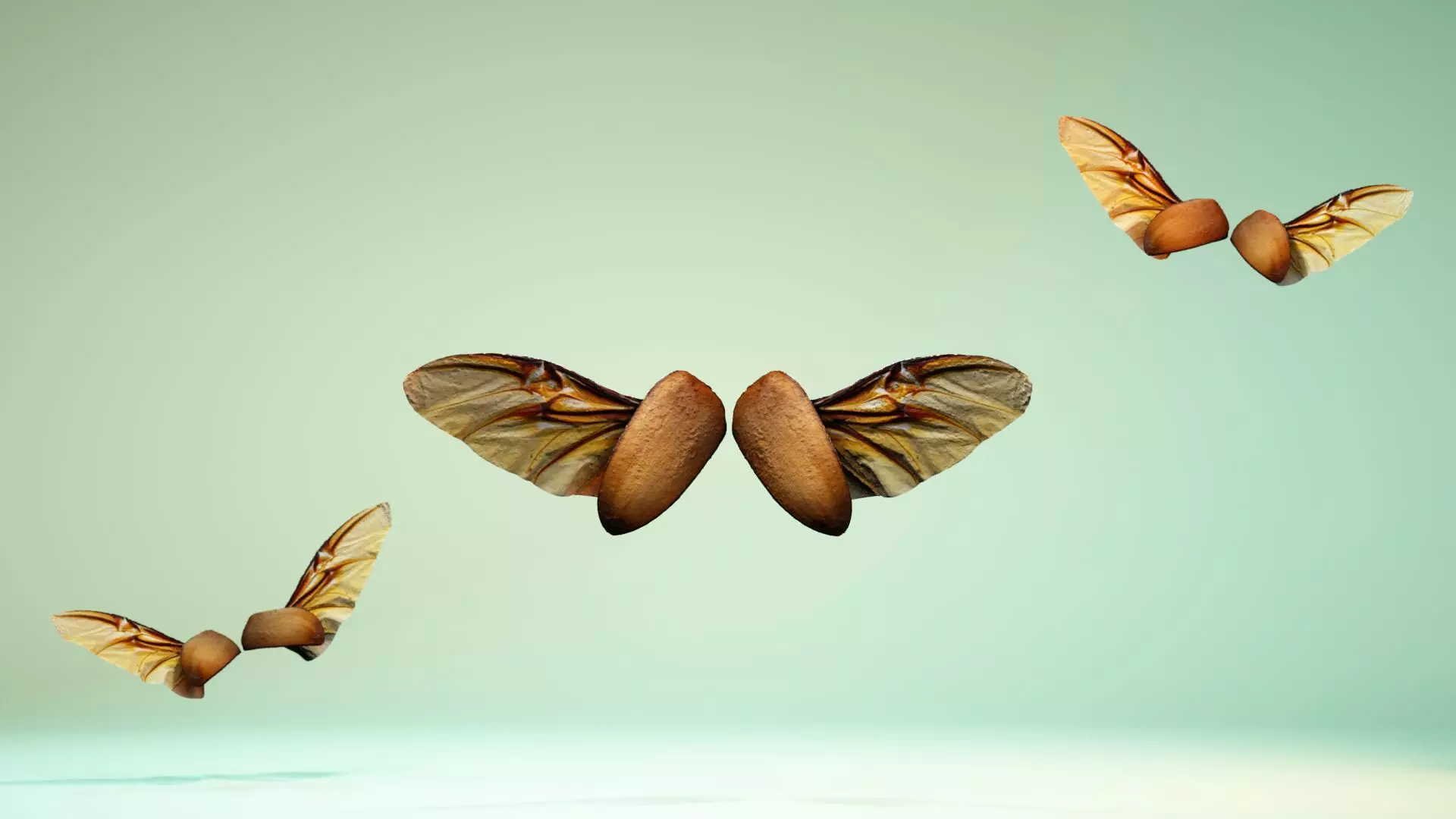 Insect 4 angel wings - earplugs Low-poly 3D model_0