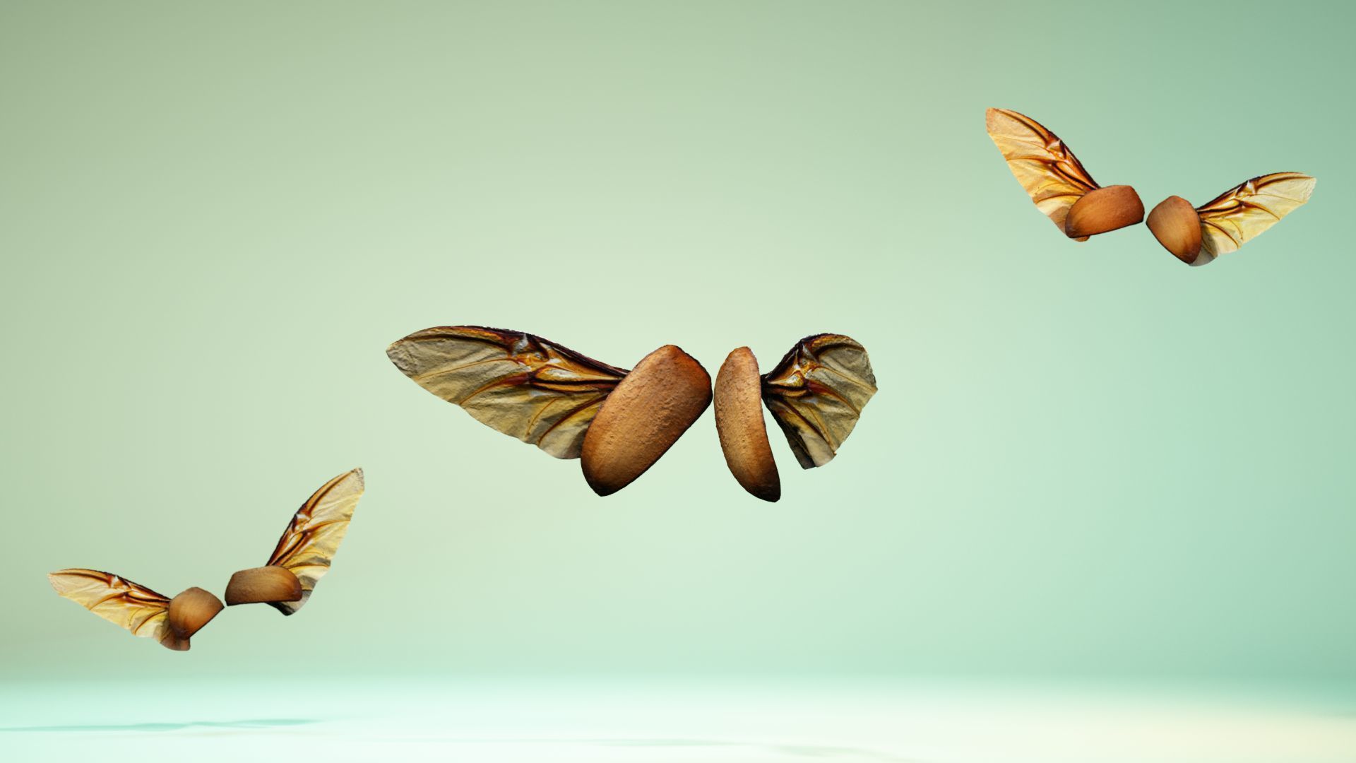 Insect 4 angel wings - earplugs Low-poly 3D model_11