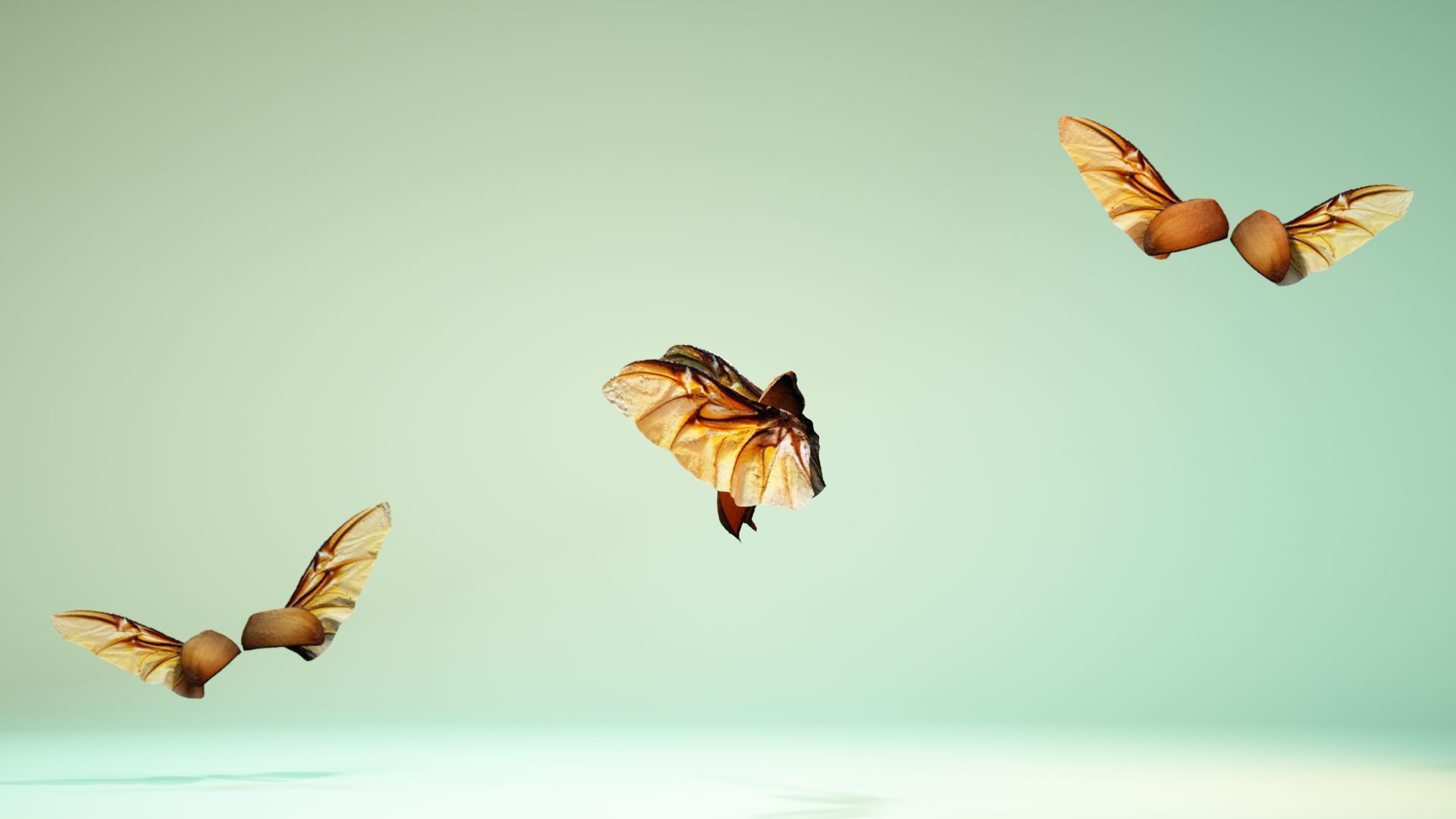 Insect 4 angel wings - earplugs Low-poly 3D model_9