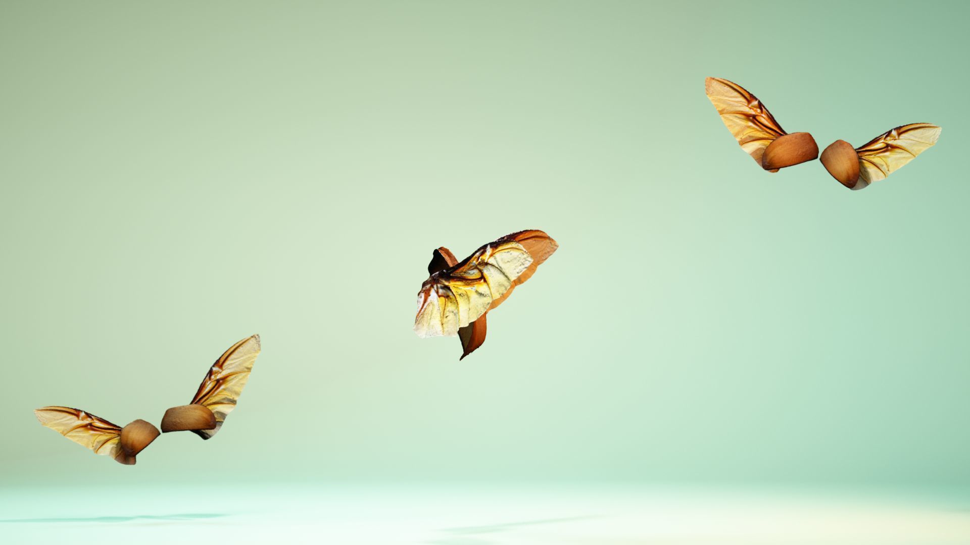 Insect 4 angel wings - earplugs Low-poly 3D model_3