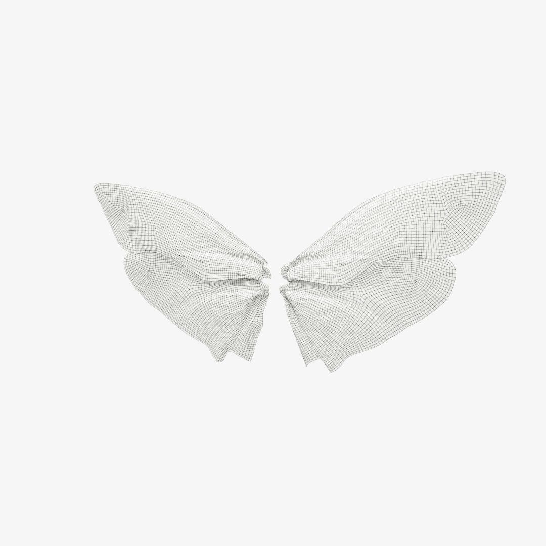 Insect 3 butterfly wings Low-poly 3D model_12