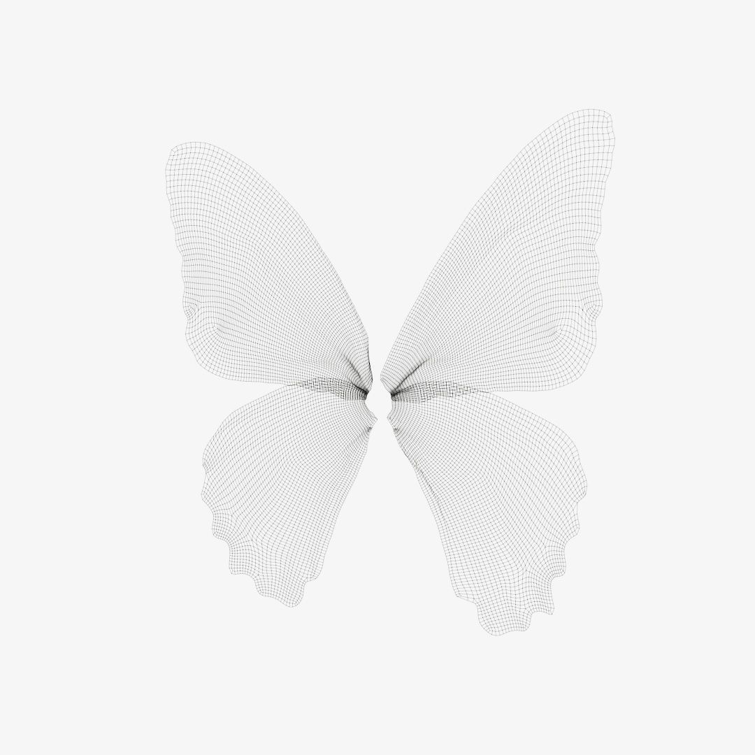 Butterfly The Lime Butterfly Low-poly 3D model_12